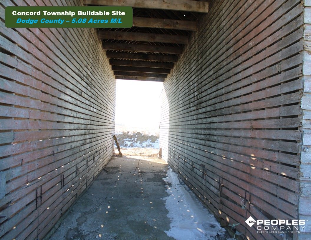 Listing Photo: Dodge County, Minnesota Land Building Site For Sale